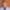 James-Brouner-aspect-ratio-750-750