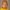 JessAlade-2722-aspect-ratio-750-750