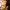 Professor-Sam-Hayden-aspect-ratio-750-750