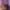 Blair-Kelly-Headshot-aspect-ratio-750-750