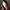 Grace-Carter-Headshot-aspect-ratio-750-750