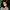 Hollie-Cassar-Headshot-aspect-ratio-750-750
