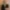 Dean-Surtees-credit-Mariana-Pires-1-scaled-aspect-ratio-750-750