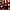 Kashef-Morad-aspect-ratio-750-750 Kashef Morad