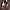 Dominic-Hamilton-aspect-ratio-750-750 Dominic Hamilton