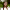 Lyndsay-Barnbrook-aspect-ratio-750-750 Lyndsay Barnbrook